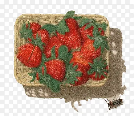 手绘水彩绘画一篮草莓