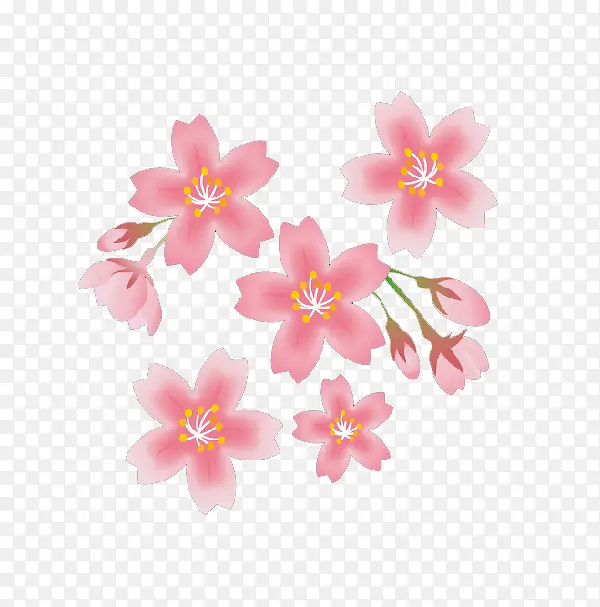粉色的花