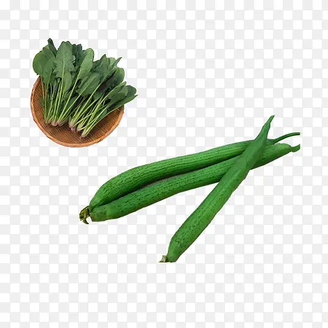 蔬菜