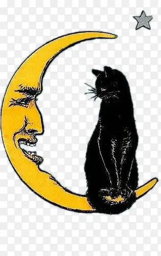 月亮与黑猫
