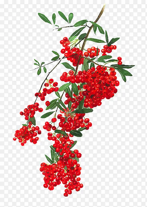 抽象鲜花素材鲜花图案