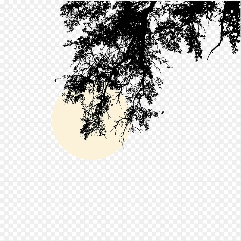 树影 树枝月亮