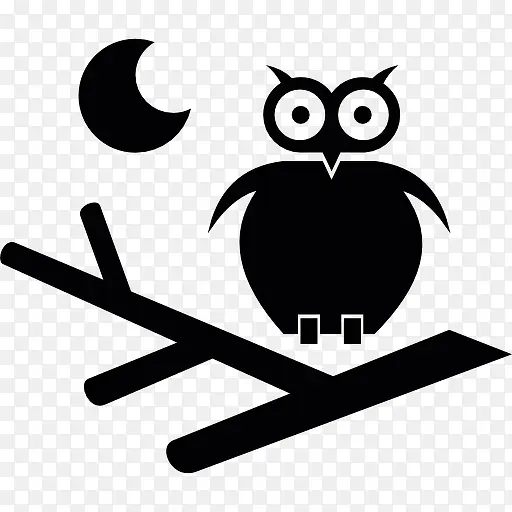 猫头鹰在夜间图标