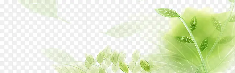 清新绿叶背景图