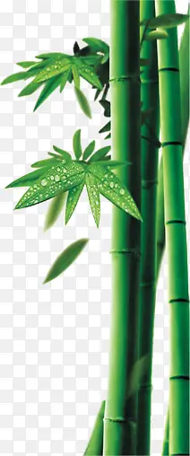 绿色清新竹子竹叶竹节
