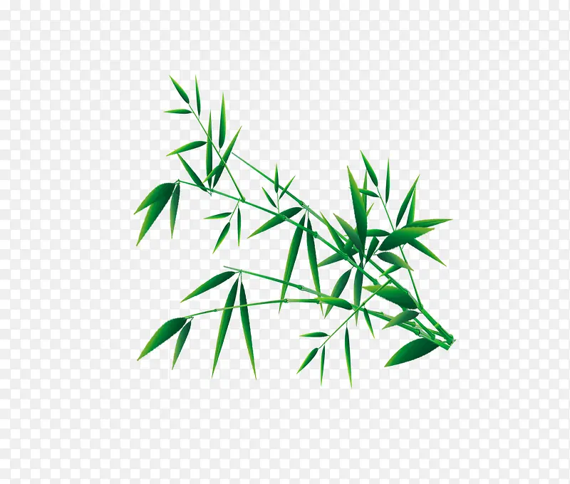 竹叶PNG图片素材下载_图片编号ywgwkrjk-免抠素材网