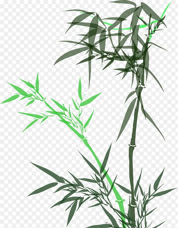 绿色清新竹叶竹子美景手绘