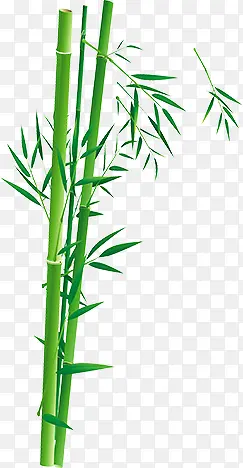 绿色卡通粽子竹叶