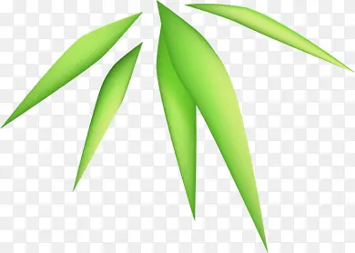 手绘质感绿色的竹叶形状