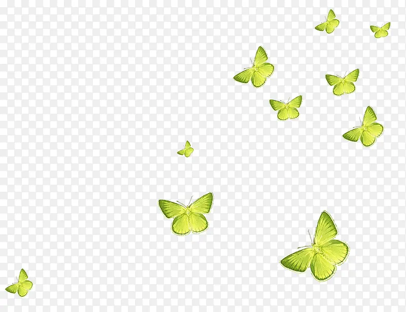 漂浮绿色蝴蝶