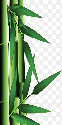 绿色卡通清新竹子竹叶