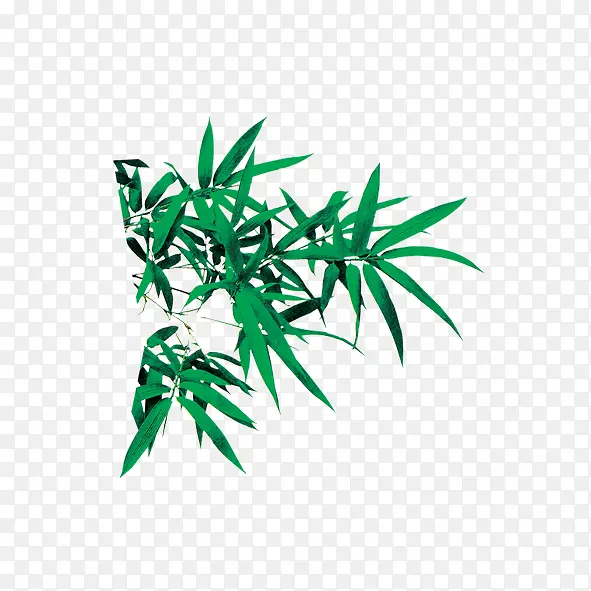 竹叶PNG图片素材下载_图片编号yemznwja-免抠素材网