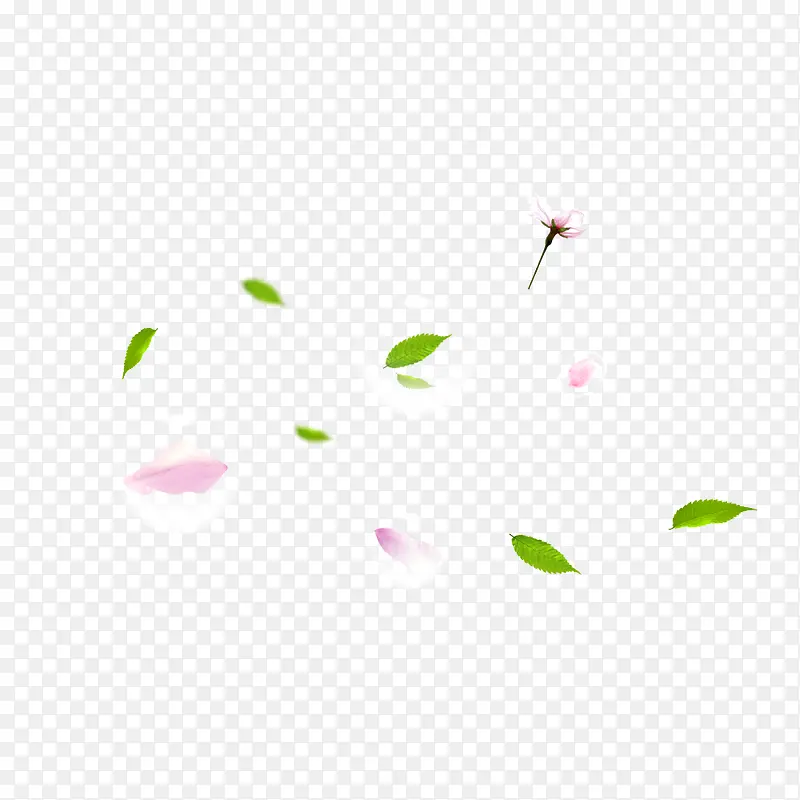漂浮花朵叶子素材