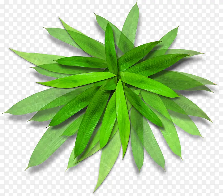 绿色分层手绘竹叶
