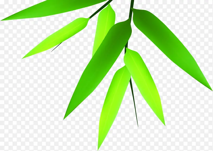 竹叶绿叶装饰端午节