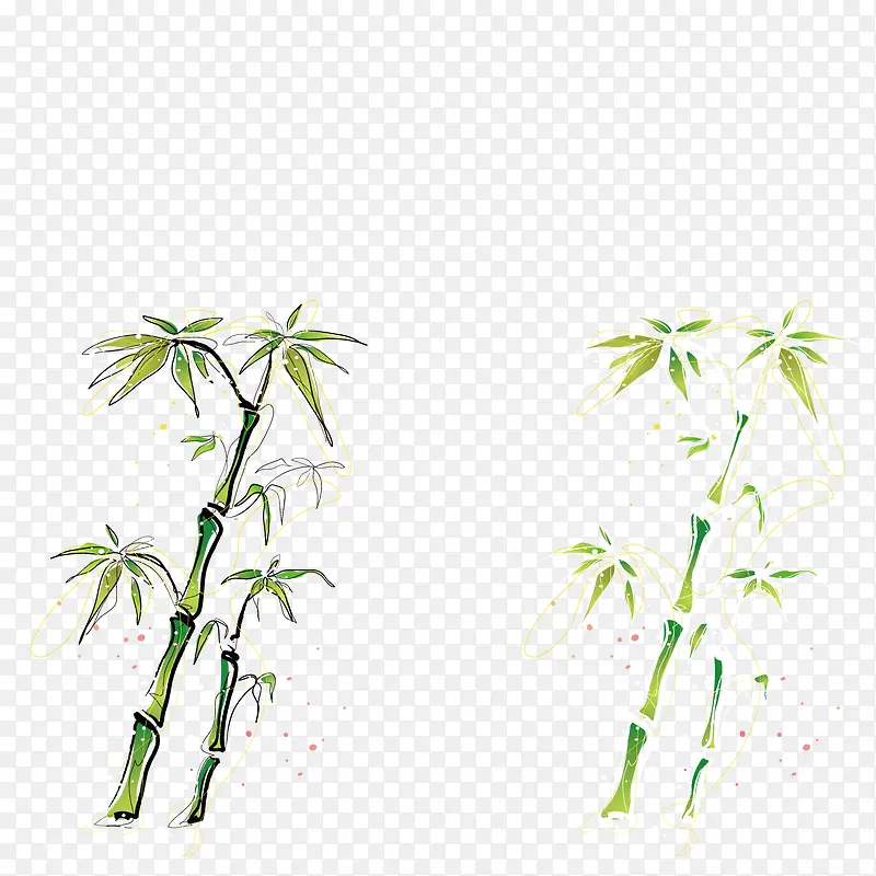 植物竹子