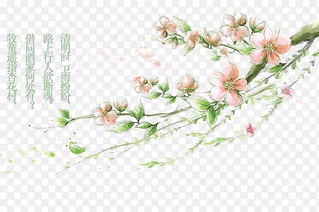 桃花