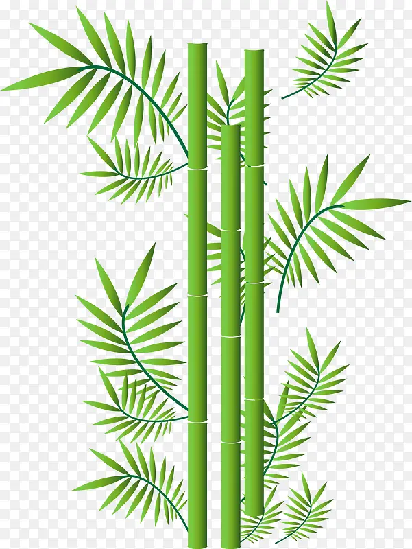 清新绿竹植物插画装饰背景素材PNG图片素材下载_图片编号qanreanb-免抠素材网