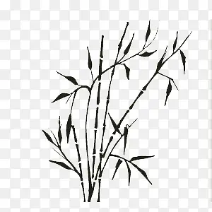生长的竹子
