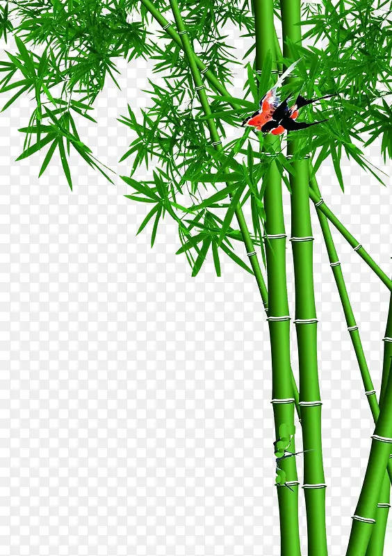 绿色竹子设计图案