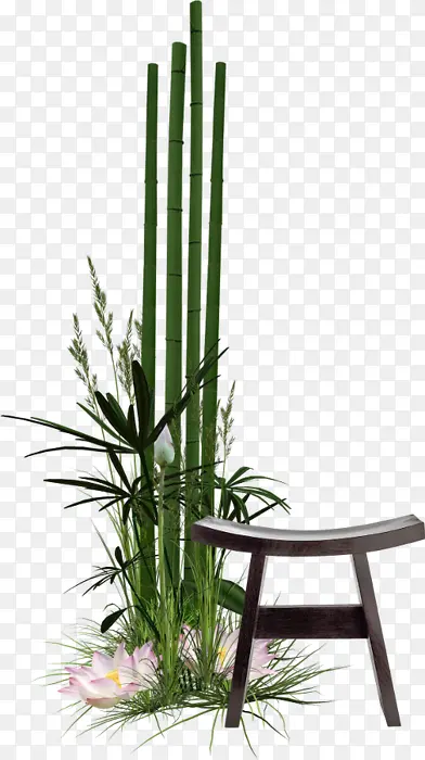植物和凳子