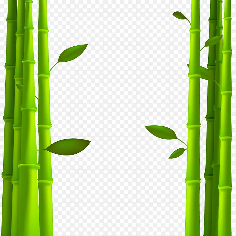 矢量3D竹子