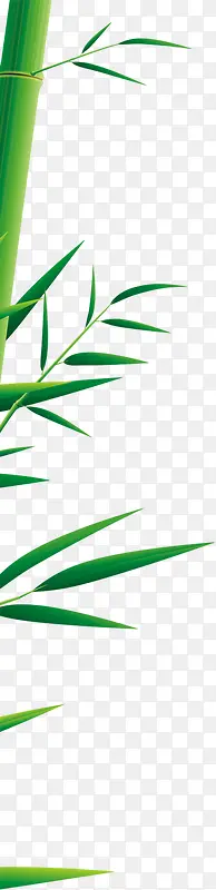 免抠透明绿色竹子