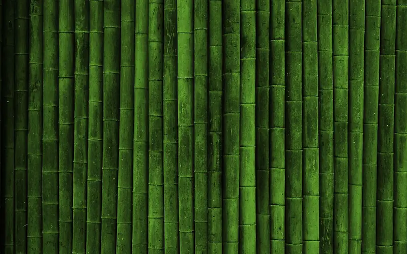 绿色竹子壁纸设计