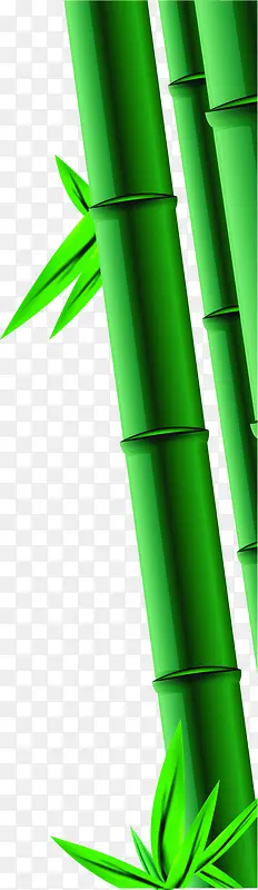竹子绿竹翠竹端午节侧边装饰