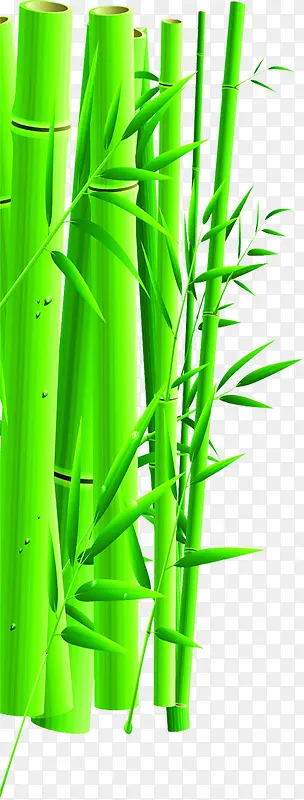 绿色竹子手绘