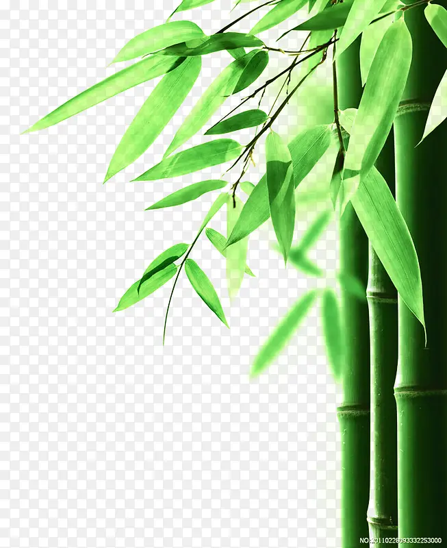 高清绿色竹子创意