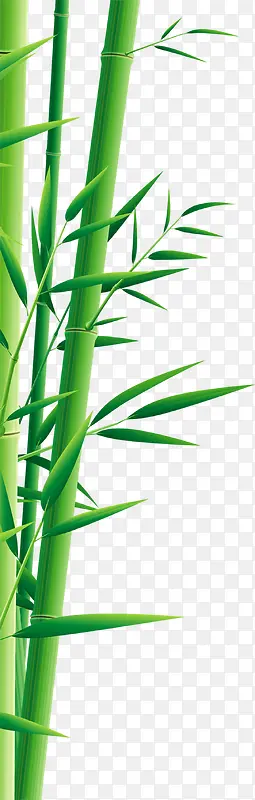 绿色竹子创意设计