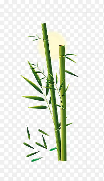 绿色竹子装饰
