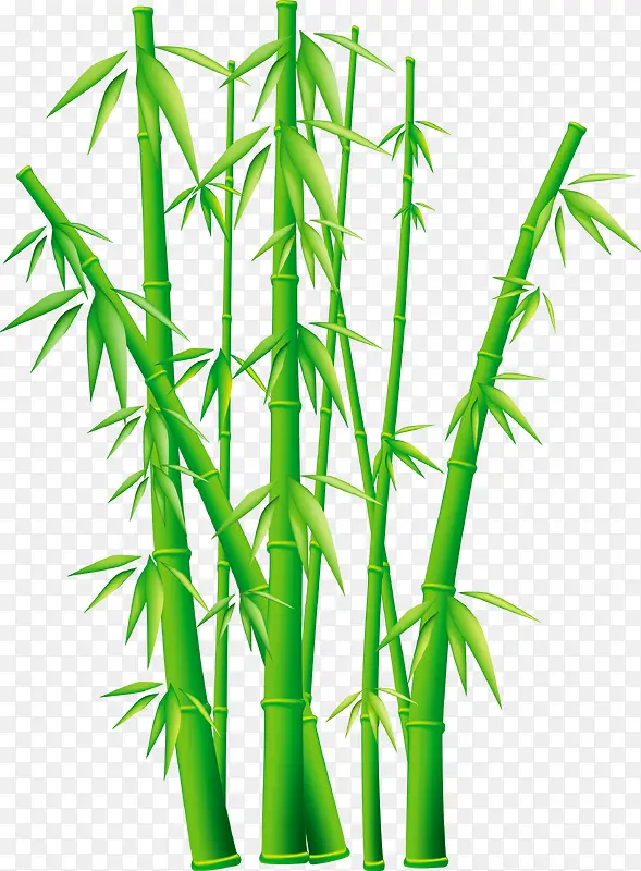 翠绿色竹子素材