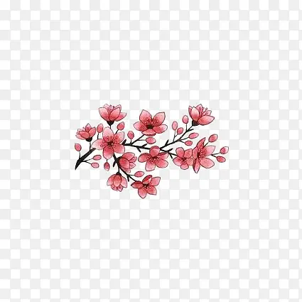 水彩桃花