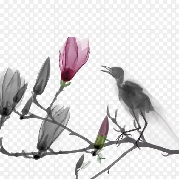 花朵与鸟水墨绘画