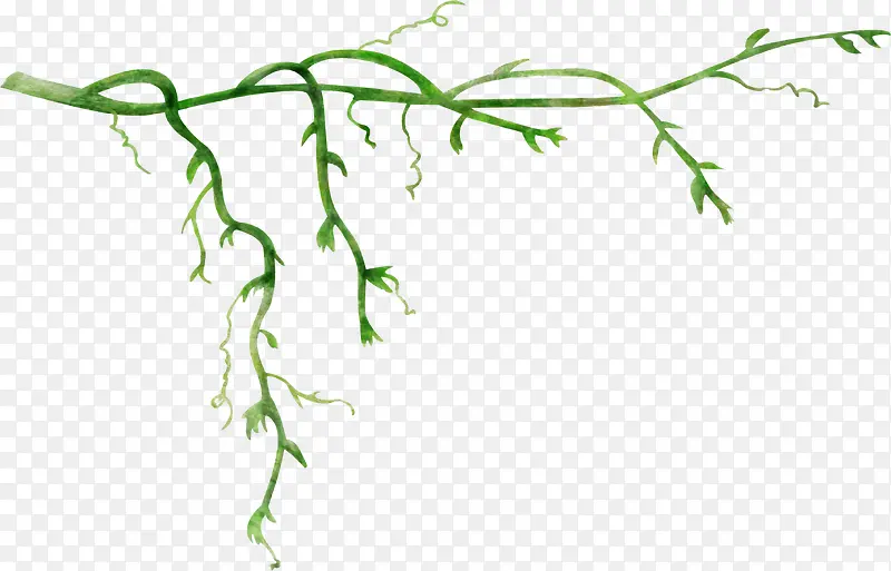 植物花草素材手绘装饰素材