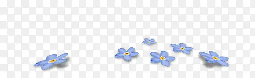 装饰图片花卉背景素材