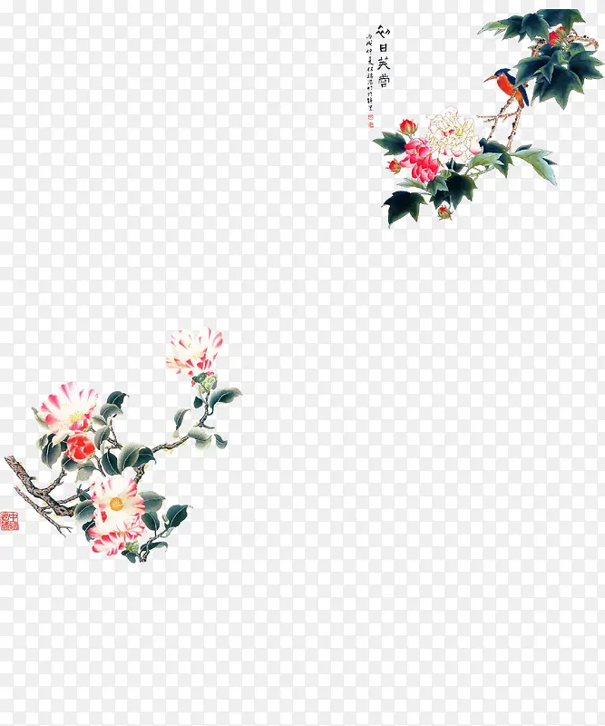 中国风花卉，富贵，国画