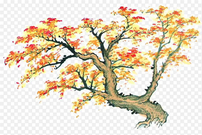 秋天枫树手绘
