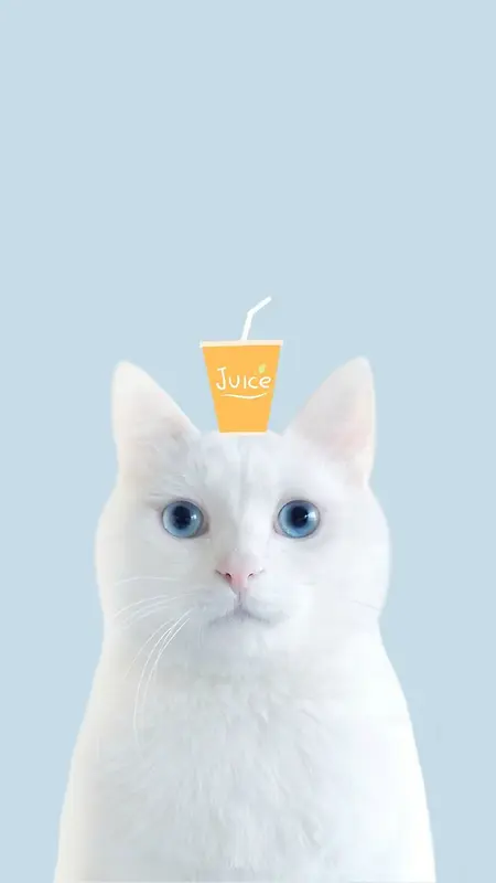 白色小猫头上的果汁
