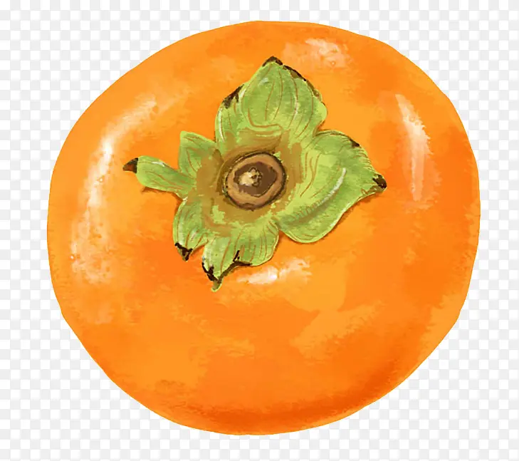 柿子手绘