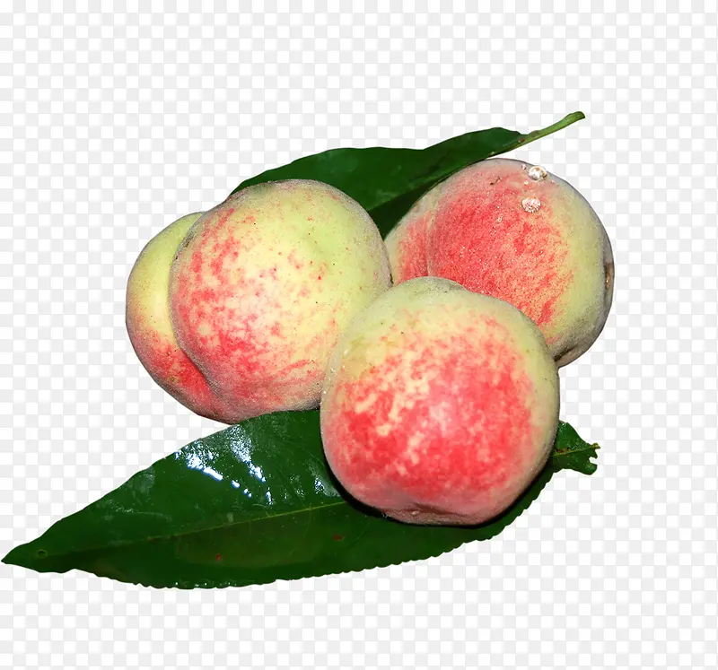 桃子水果
