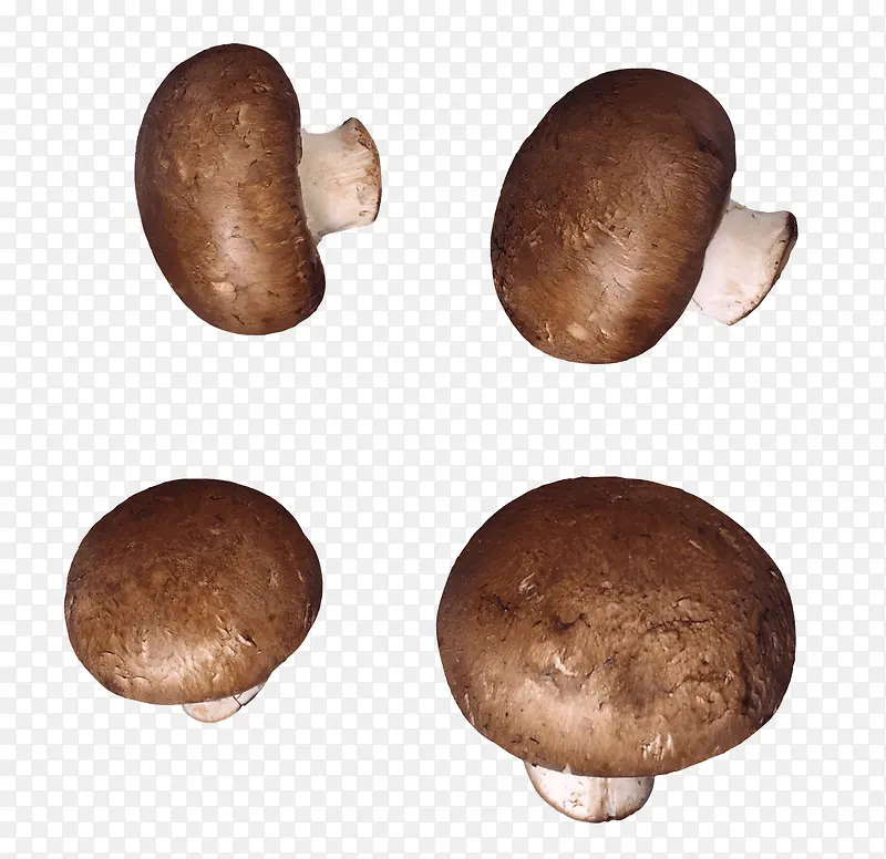 四个小香菇