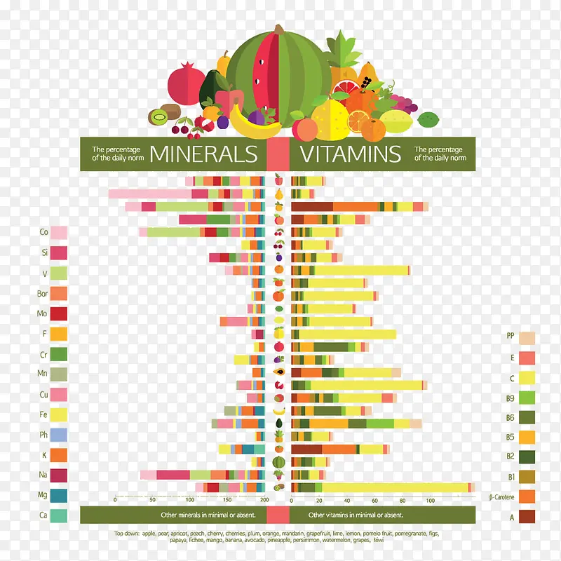 食物中的维生素信息图表