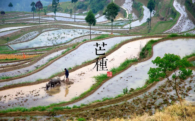 芒种休闲快乐高兴时光