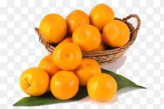 食品橘子