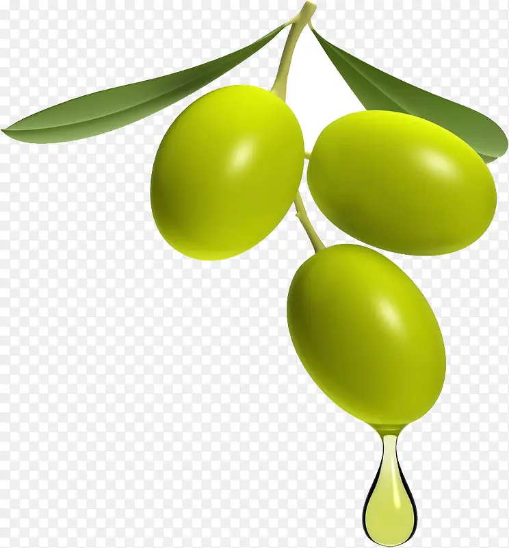 绿色橄榄装饰素材