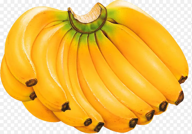 手绘黄色香蕉食物水果