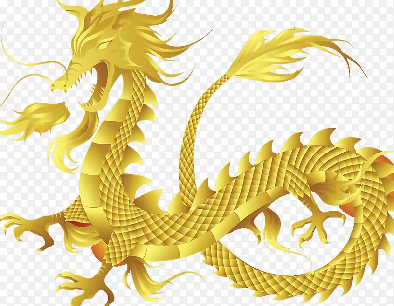 金色中国龙